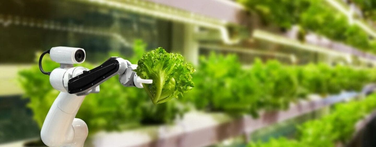 Tarımsal Robotlar