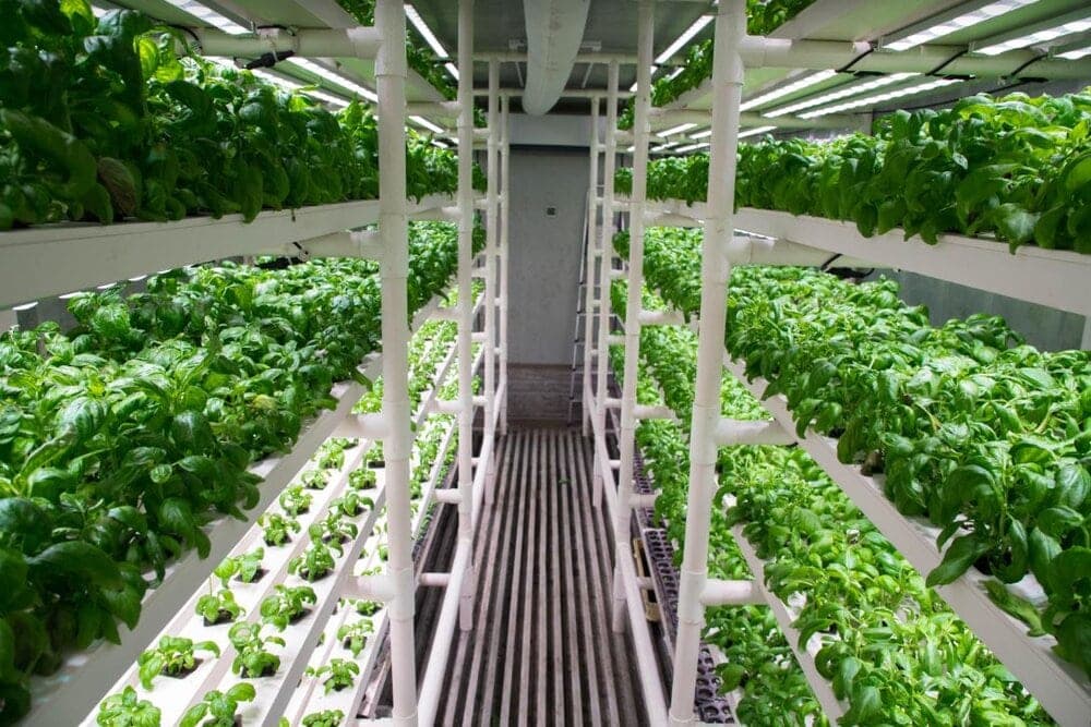 vertical farming