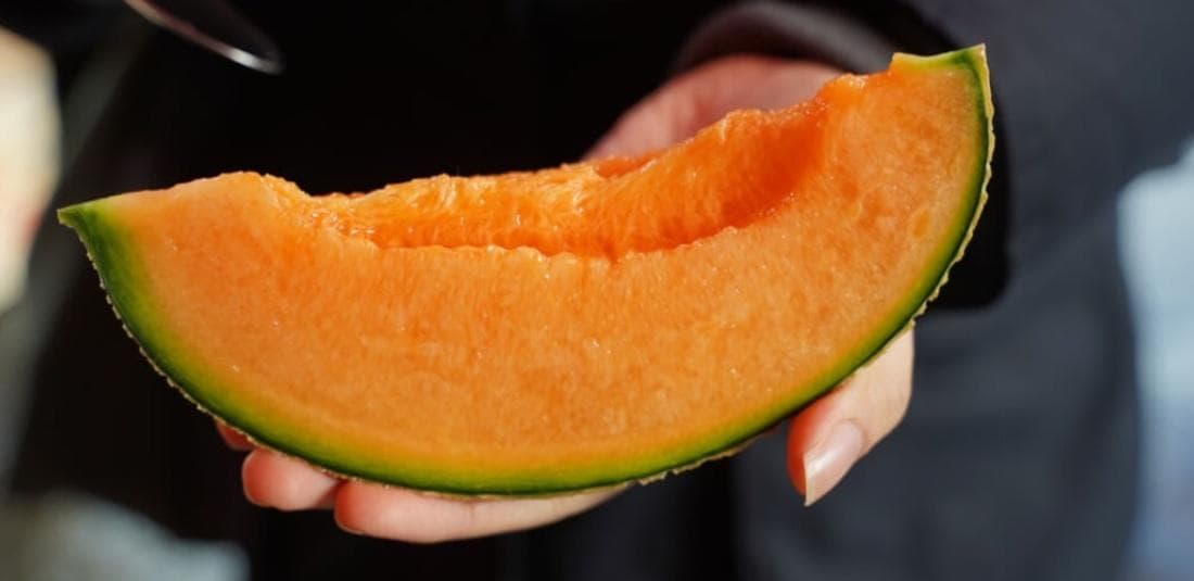 Yubari Melon