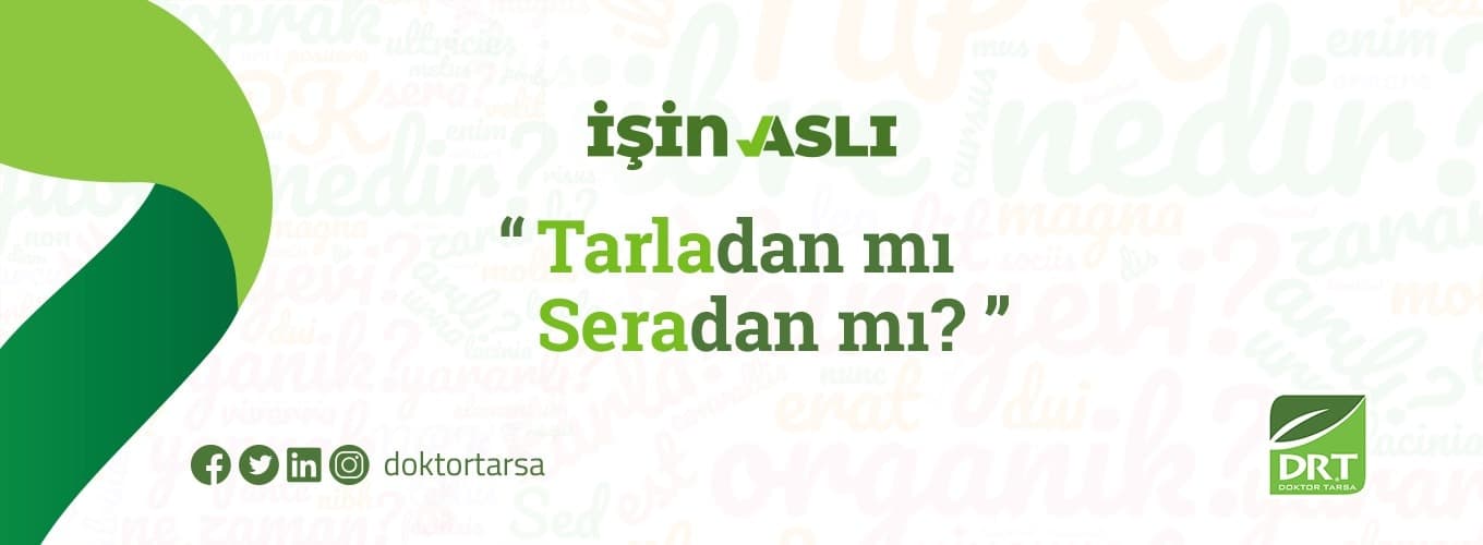 Dr Tarsa