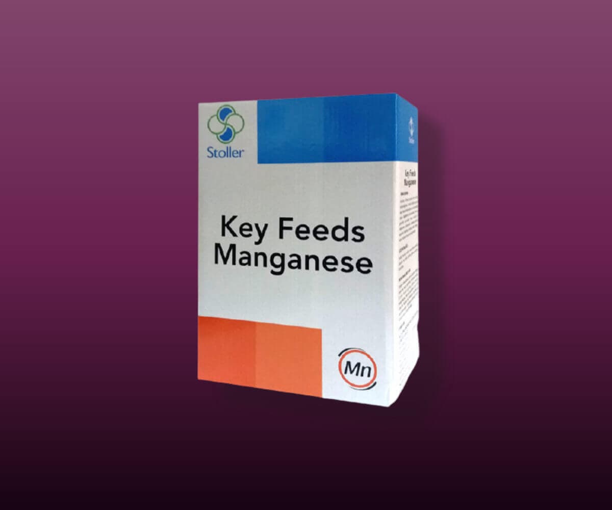 KEY FEEDS MANGANESE - Stoller Türkiye
