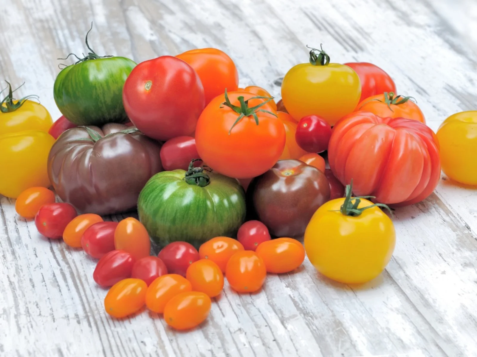 Tomato