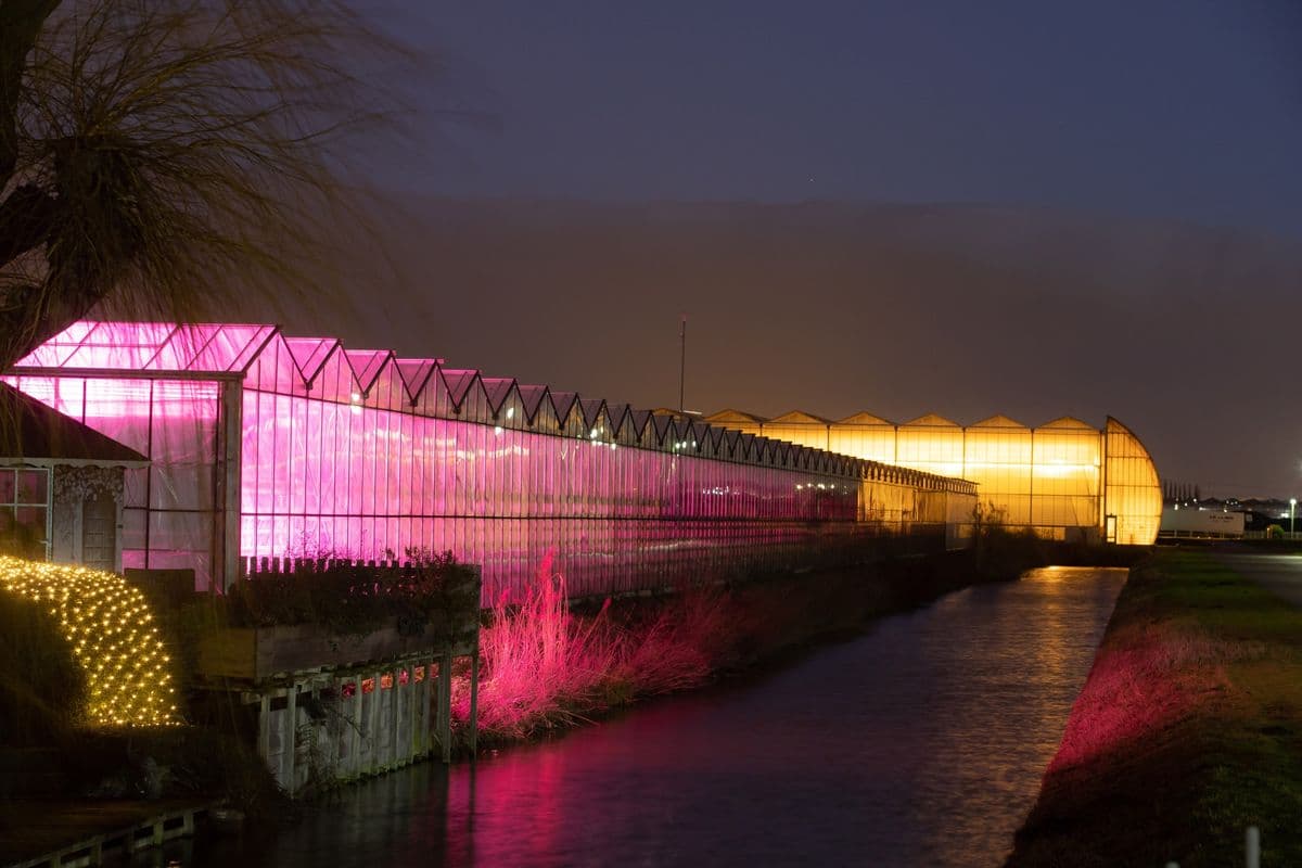 Greenhouses