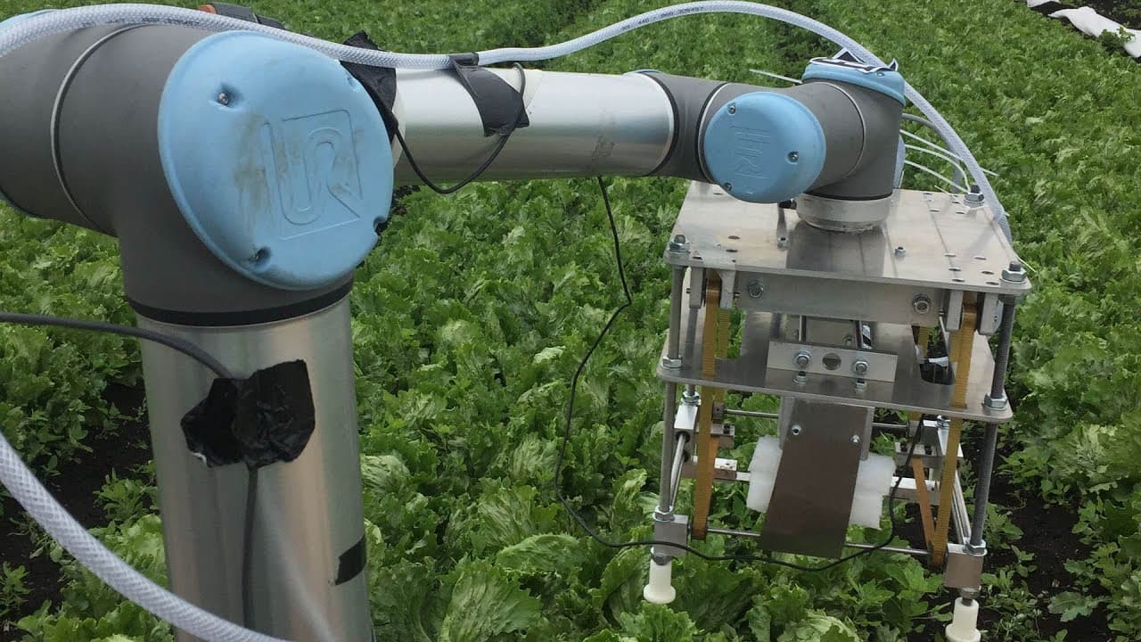 Robot