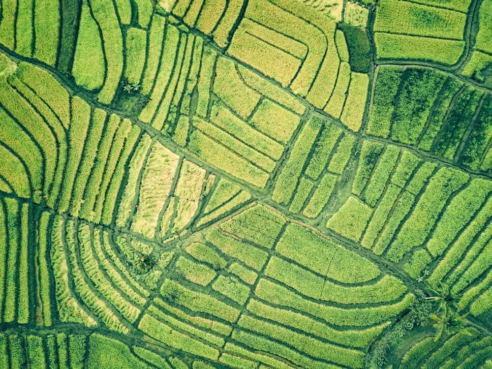 Agricultural Lands