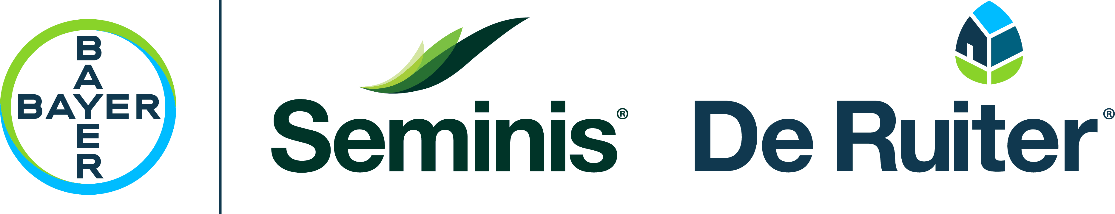 Seminis & De Ruiter logo