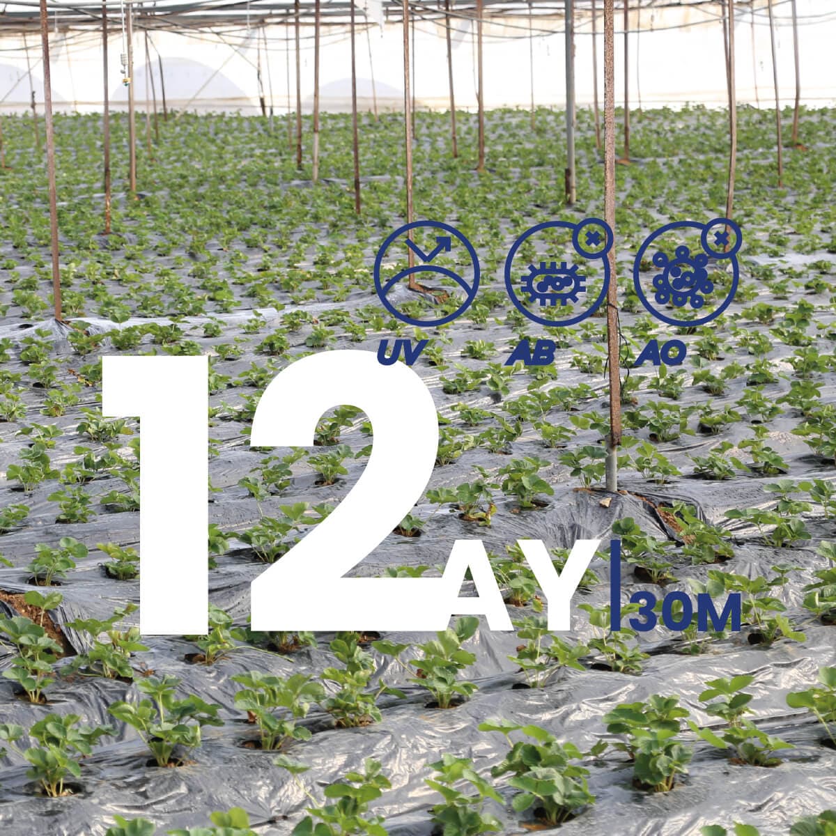 GRAY BLACK mulch 12 MONTHS / 30M - İstanbul Sera Plastik