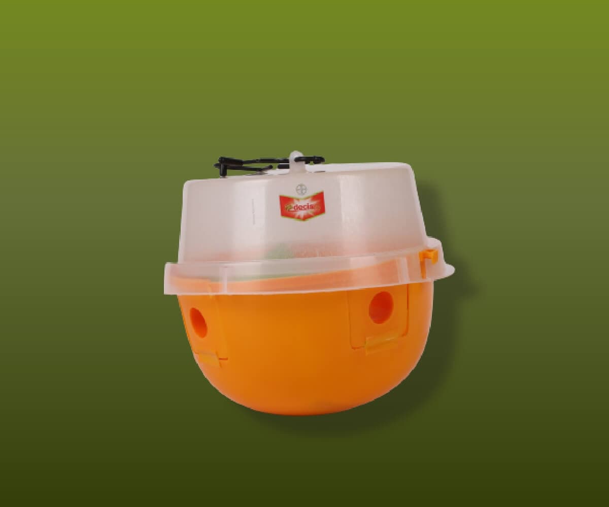 DECIS® TRAP - Bayer