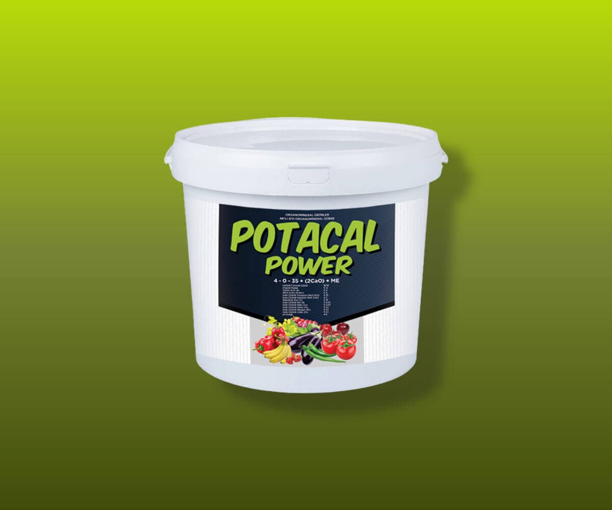 POTACAL POWER - Kalender Tarım
