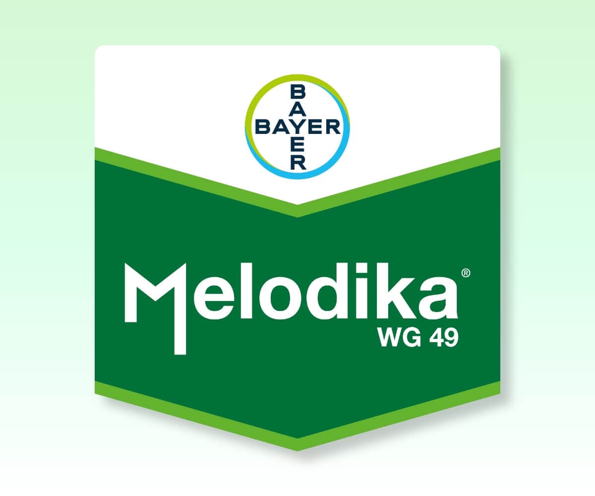 MELODİKA WG 49 - Bayer