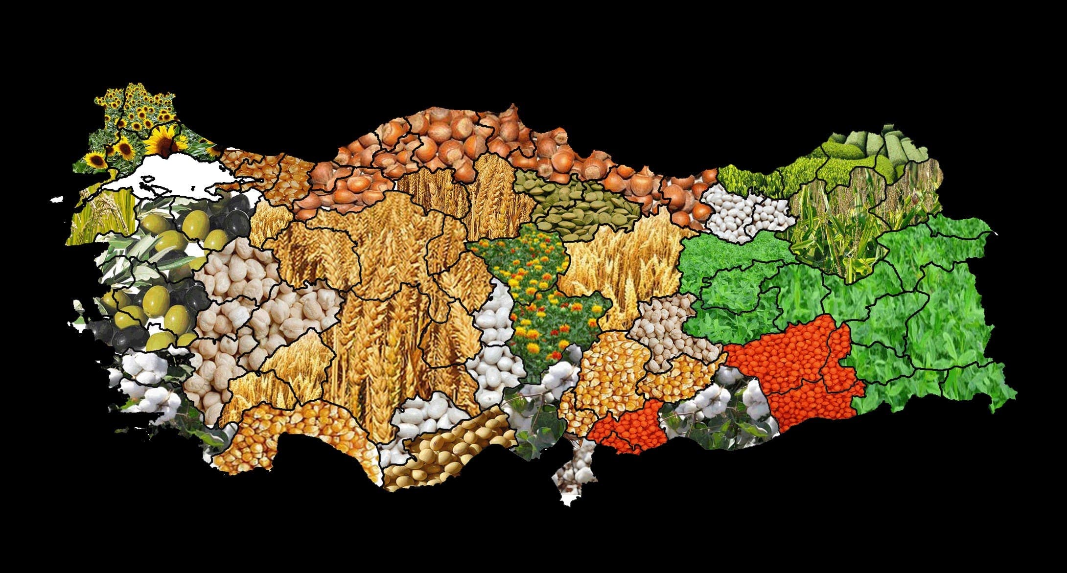 Agriculture