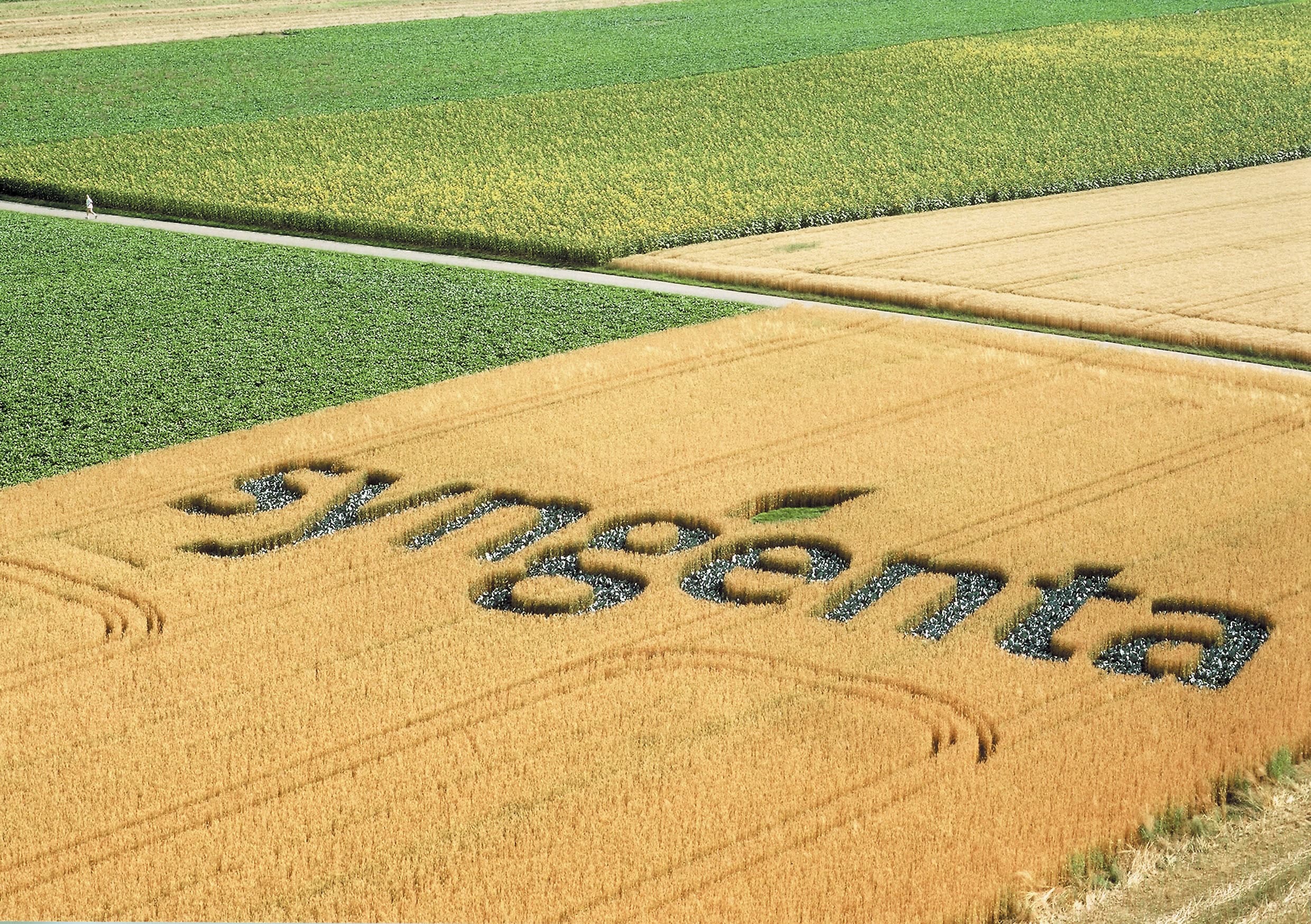 Syngenta