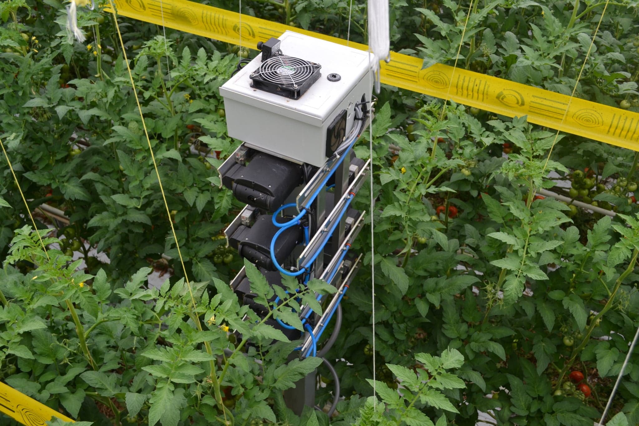 Robotik Polinasyon