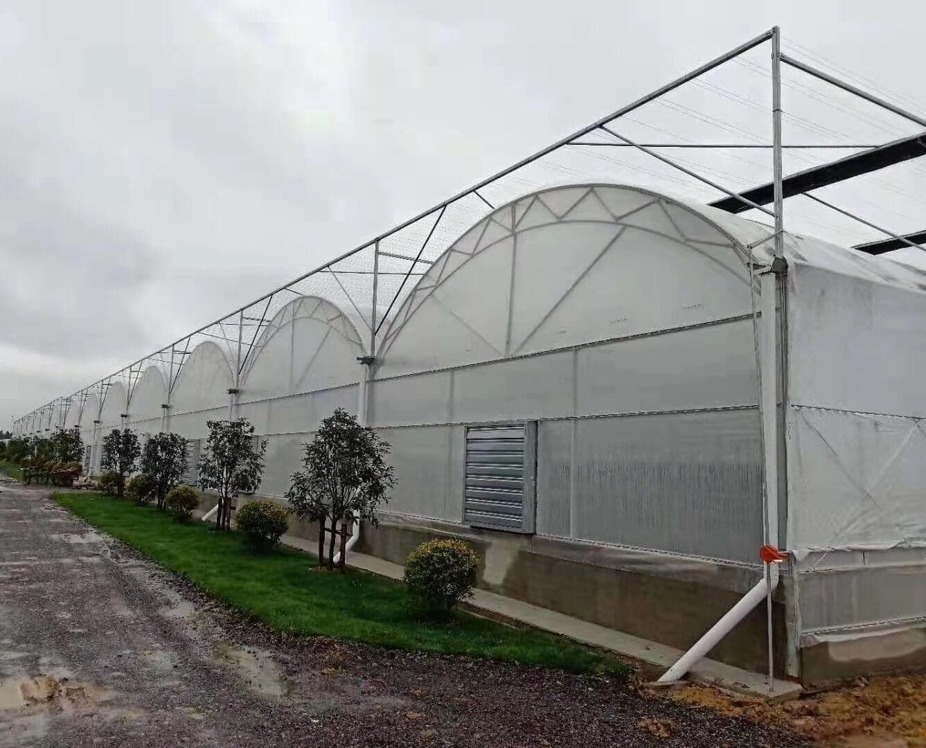 plastic greenhouse