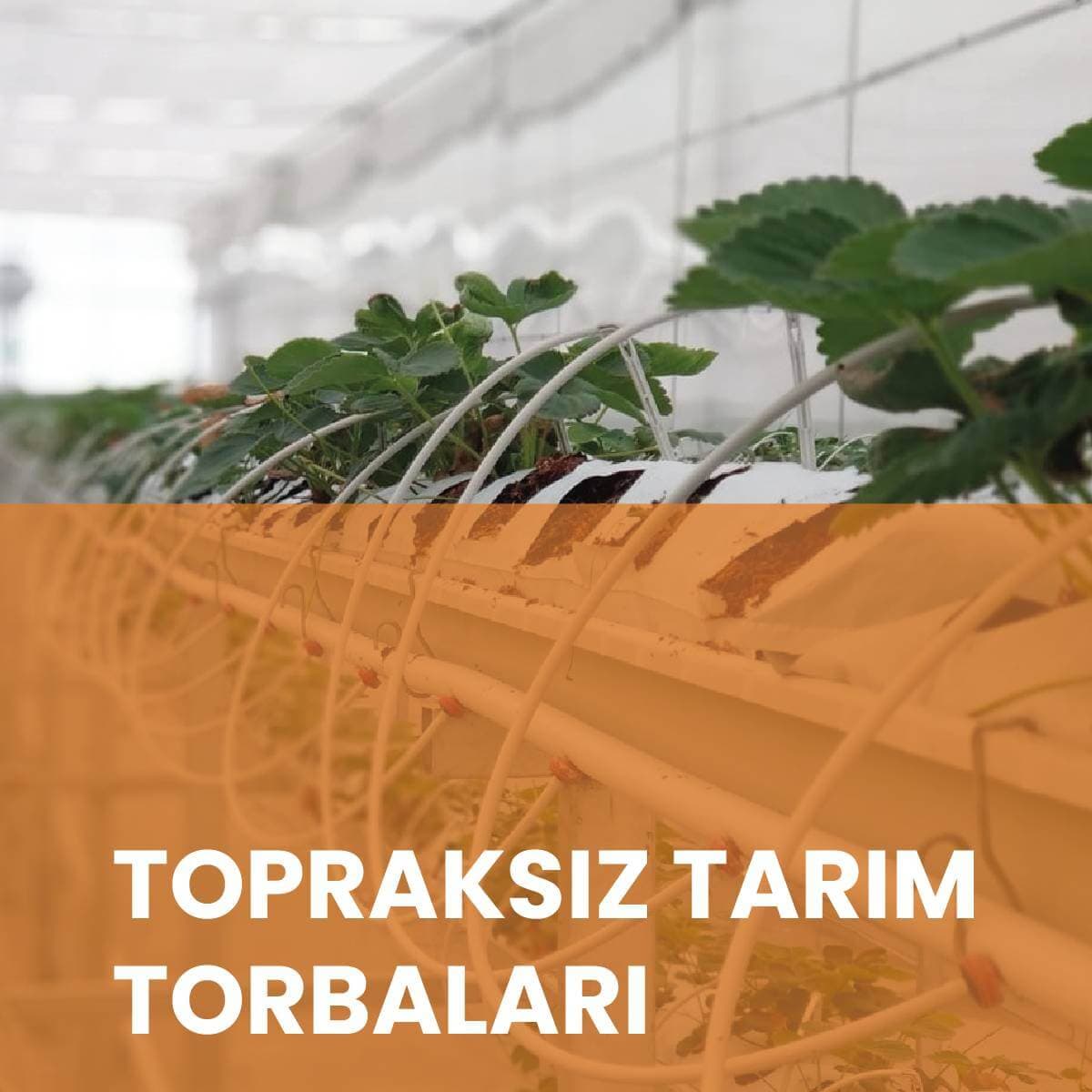 БЕСЗЕМНЫЕ СЕЛЬСКОХОЗЯЙСТВЕННЫЕ МЕШКИ - İstanbul Sera Plastik