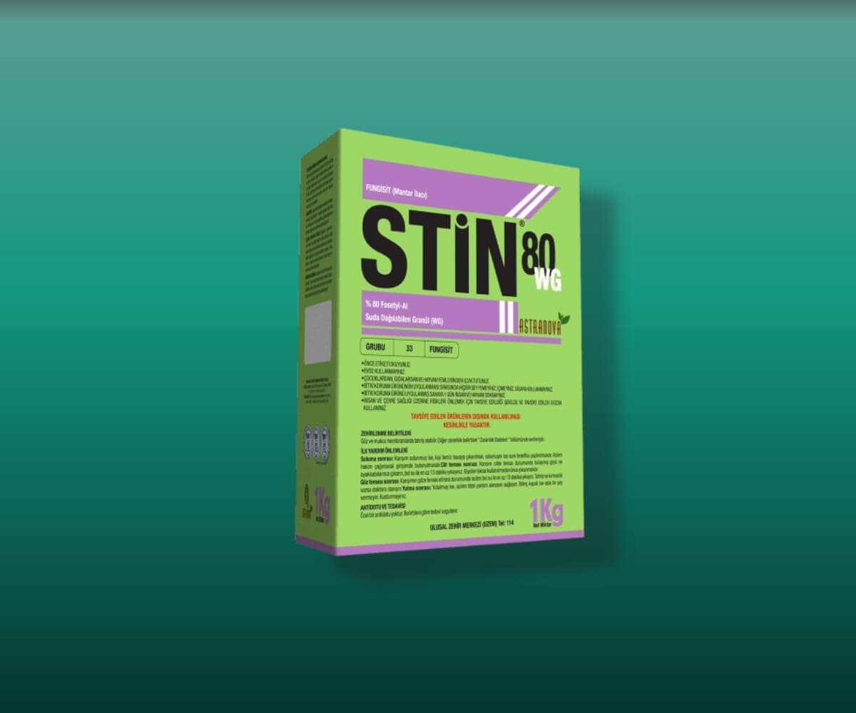 STİN 80 WG - Astranova