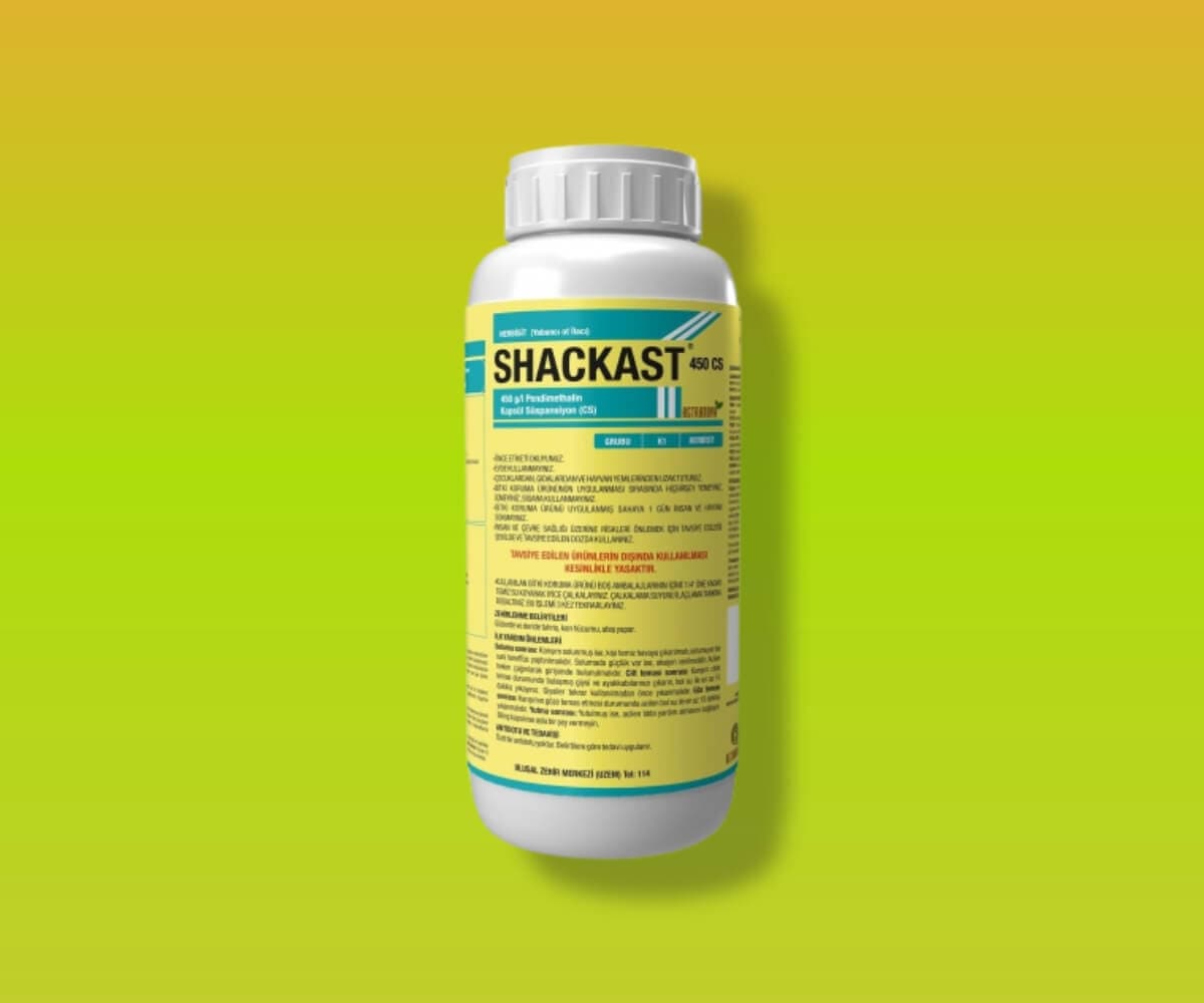 SHACKAST 450 CS - Astranova