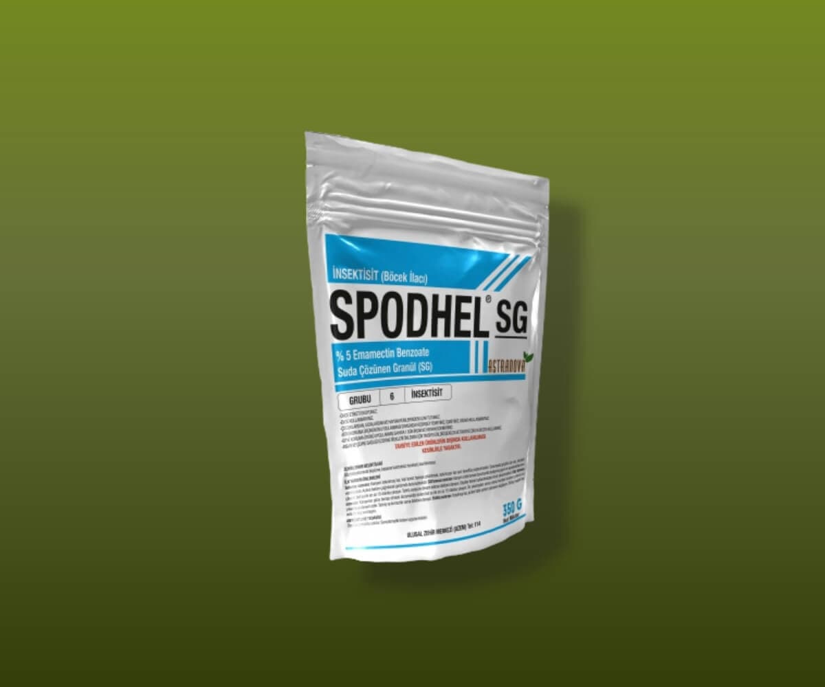 SPODHEL SG - Astranova