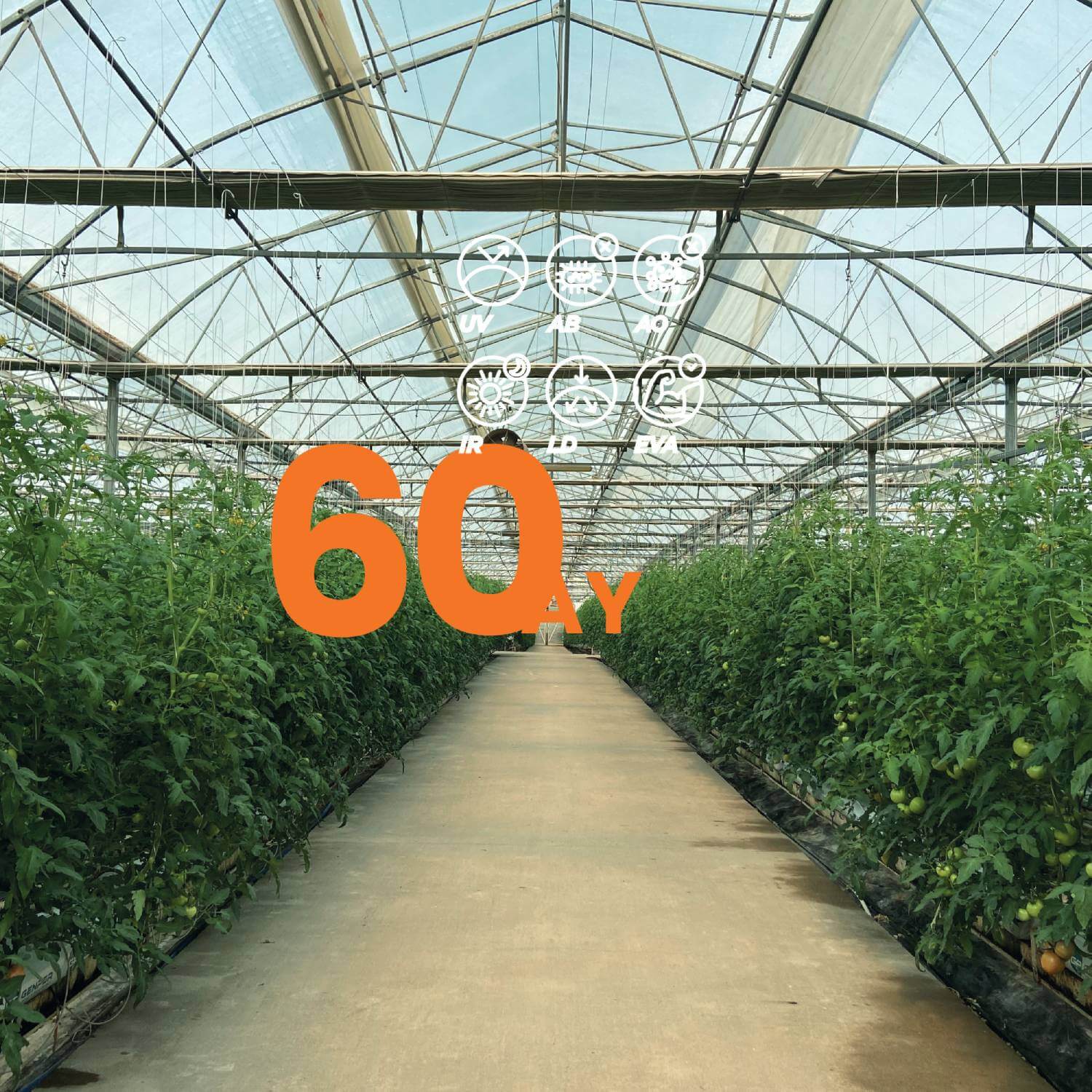 THERMAL 60 - İstanbul Sera Plastik