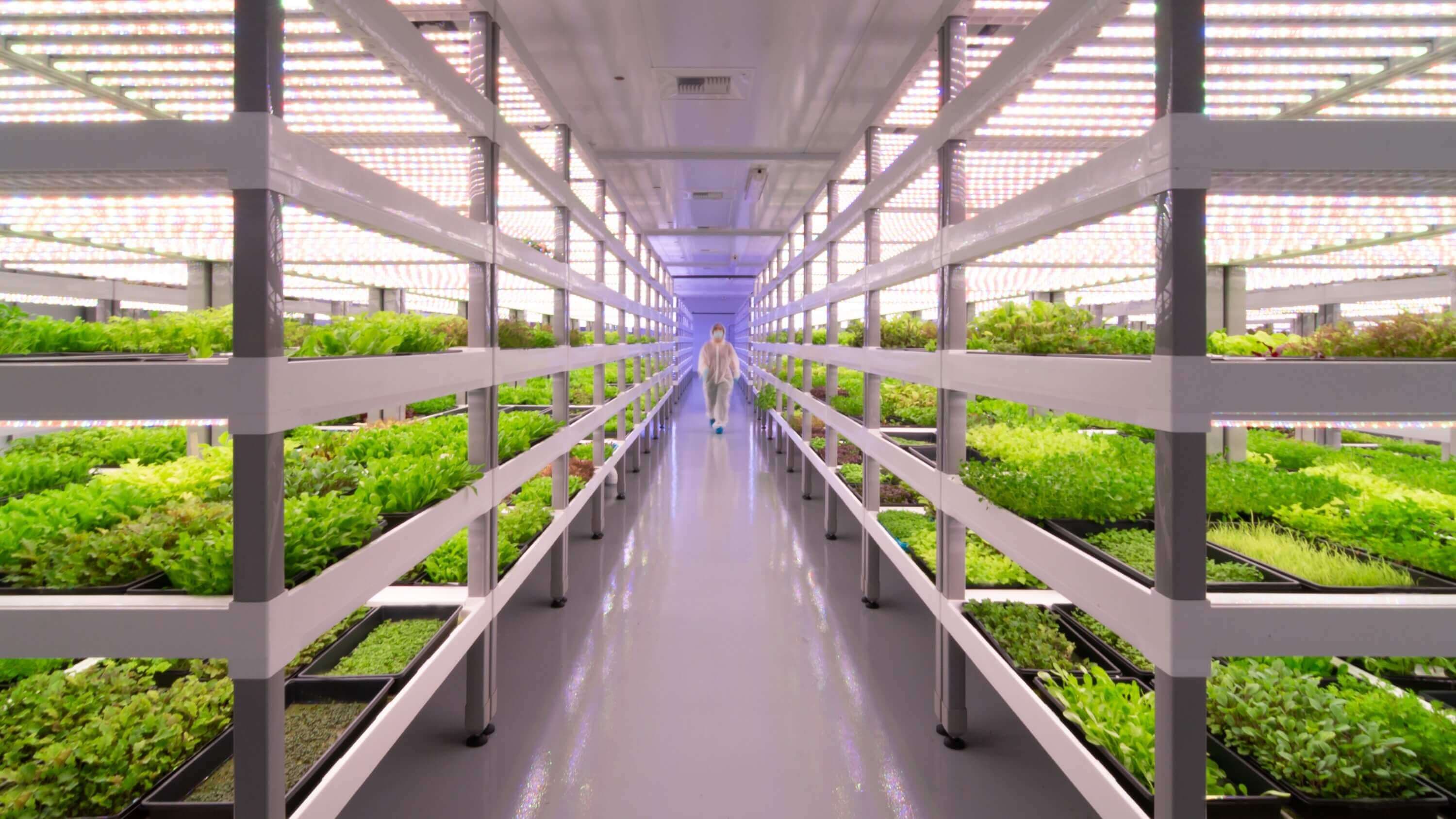 vertical farming