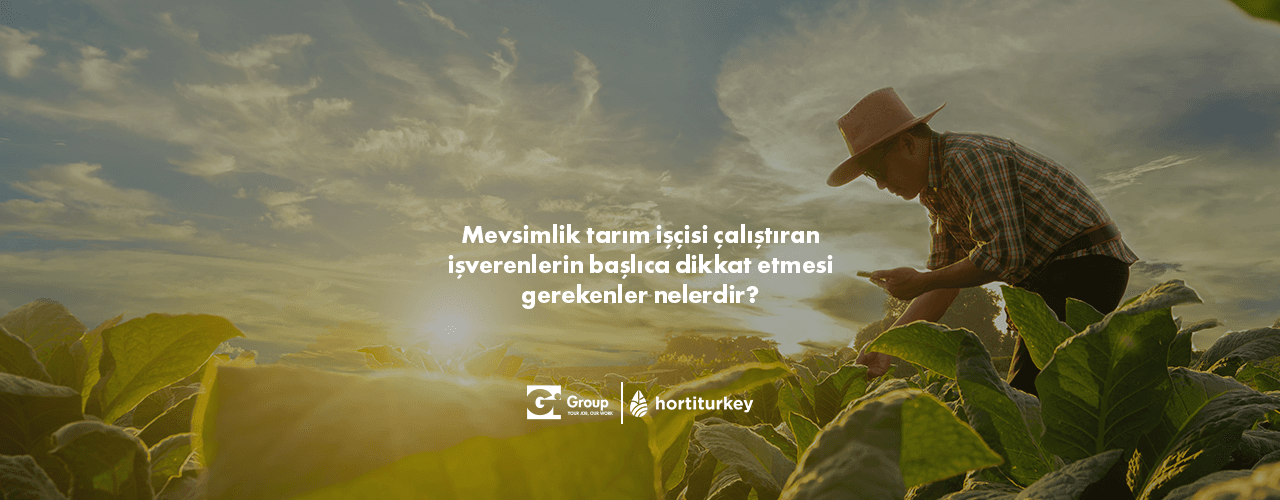 Mevsimlik Tarım İşçisi2