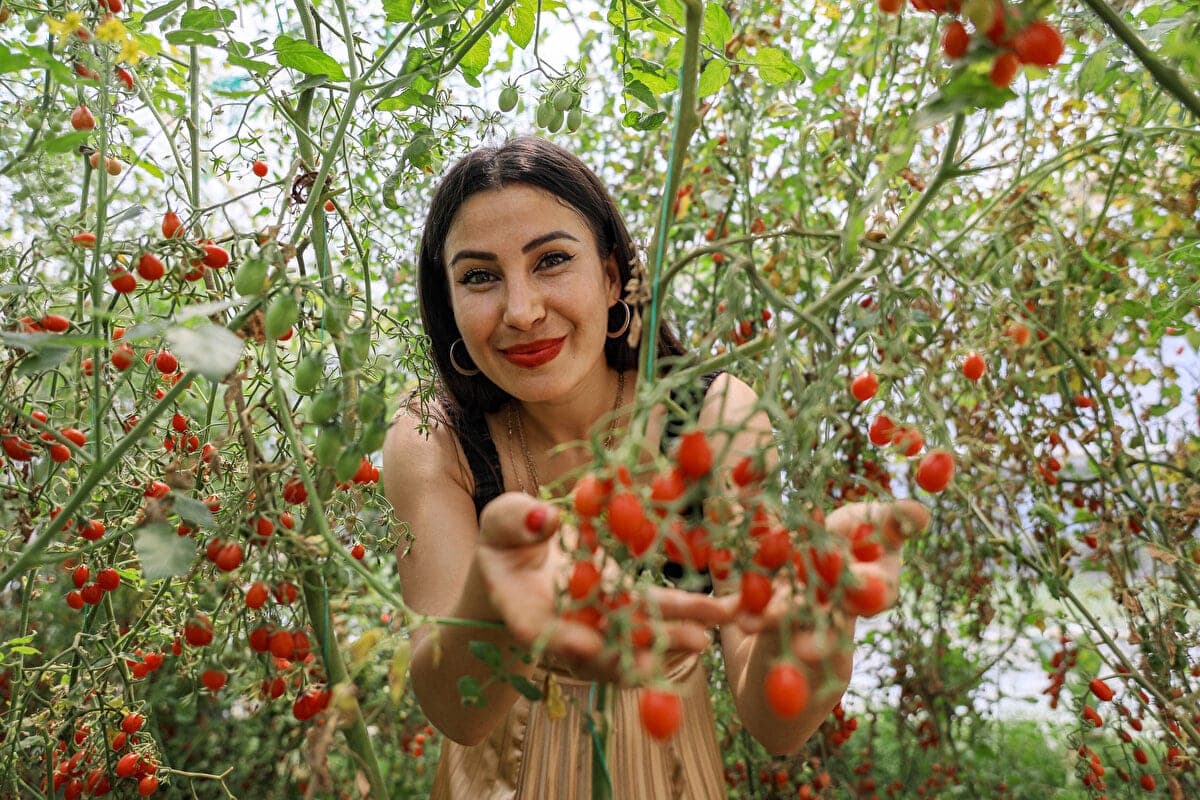 Cemre Ateş