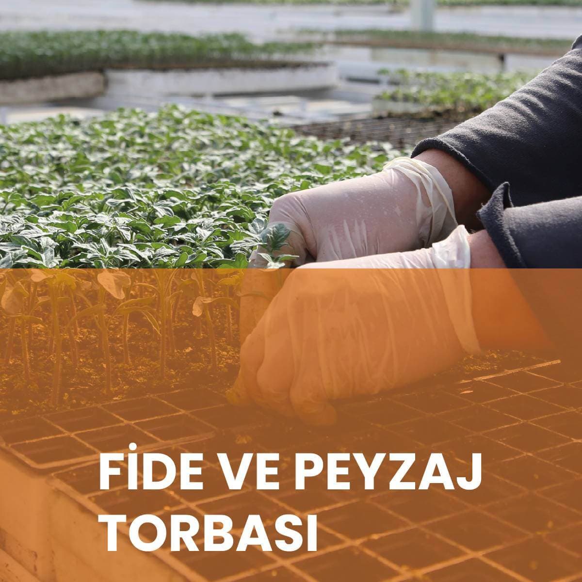 BOLSAS DE SEMILLERO Y PAISAJE - İstanbul Sera Plastik