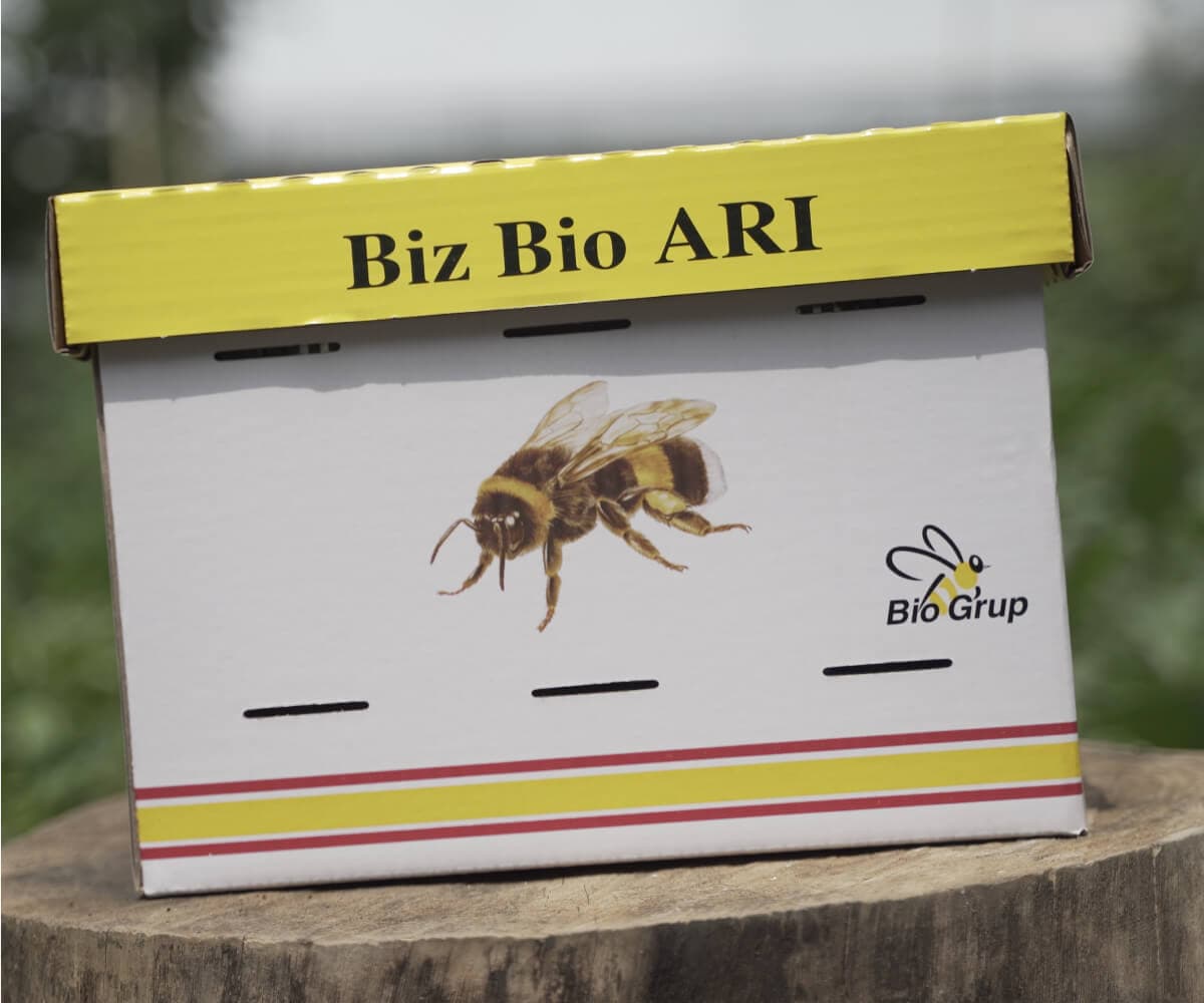 Biz Bio Arı - Biogrup