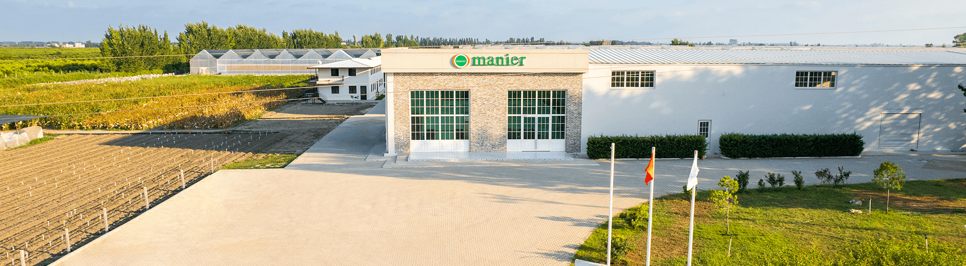 Manier Seed