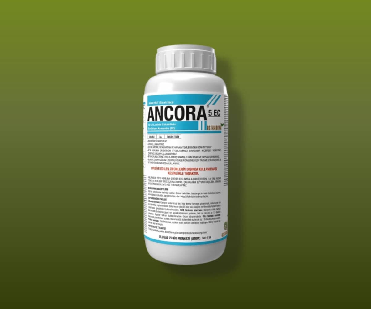 ANCORA 5 EC - Astranova