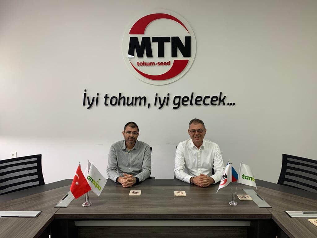 MTN Tohum Ofis