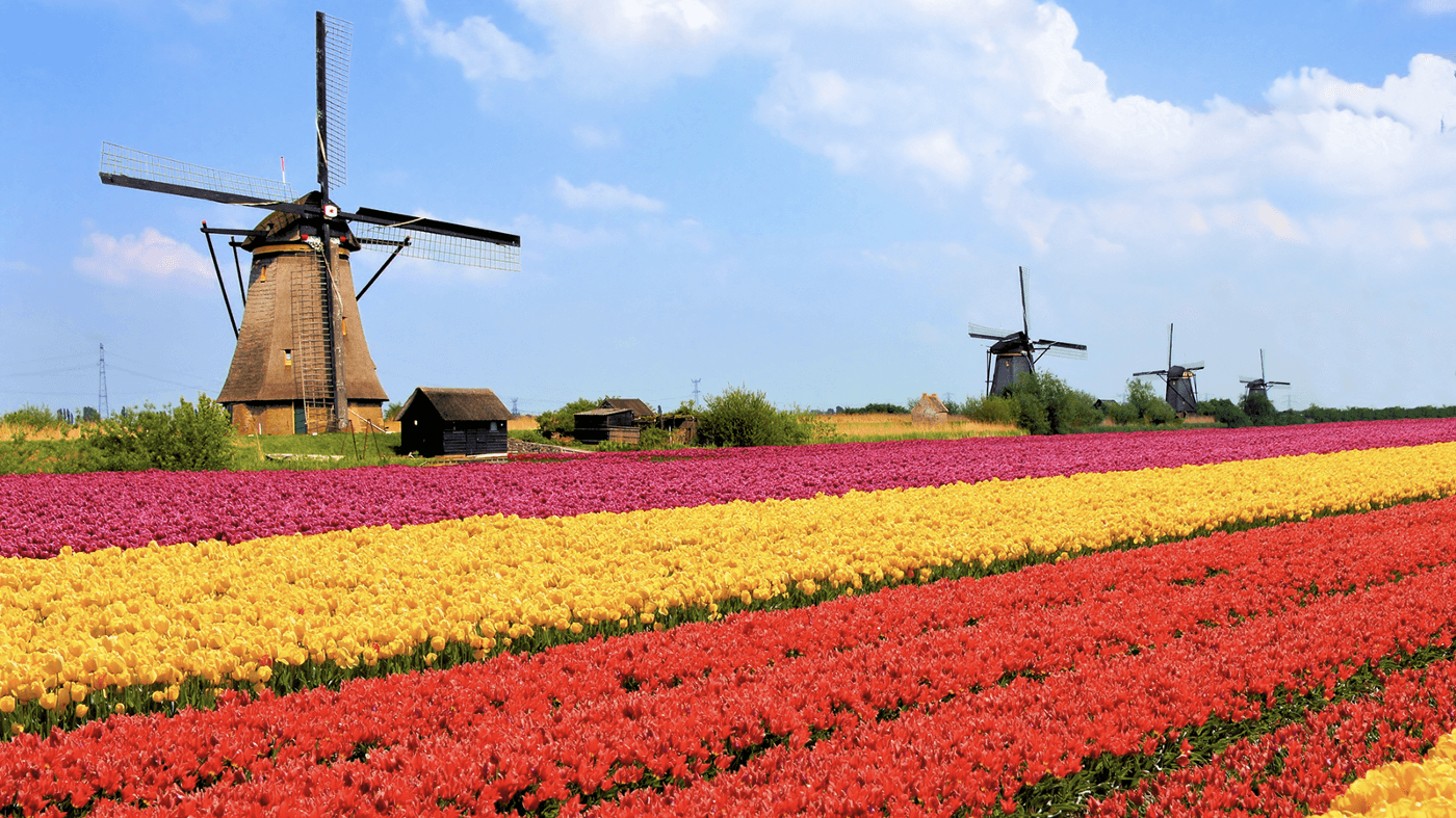 Hollanda