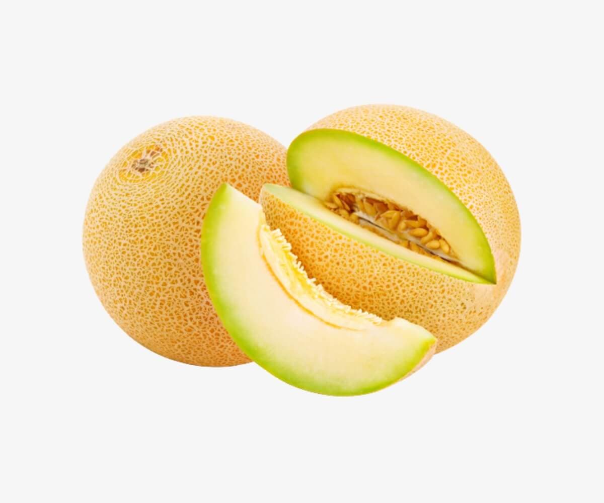 MAZIKA F1 - Genetika Tohum