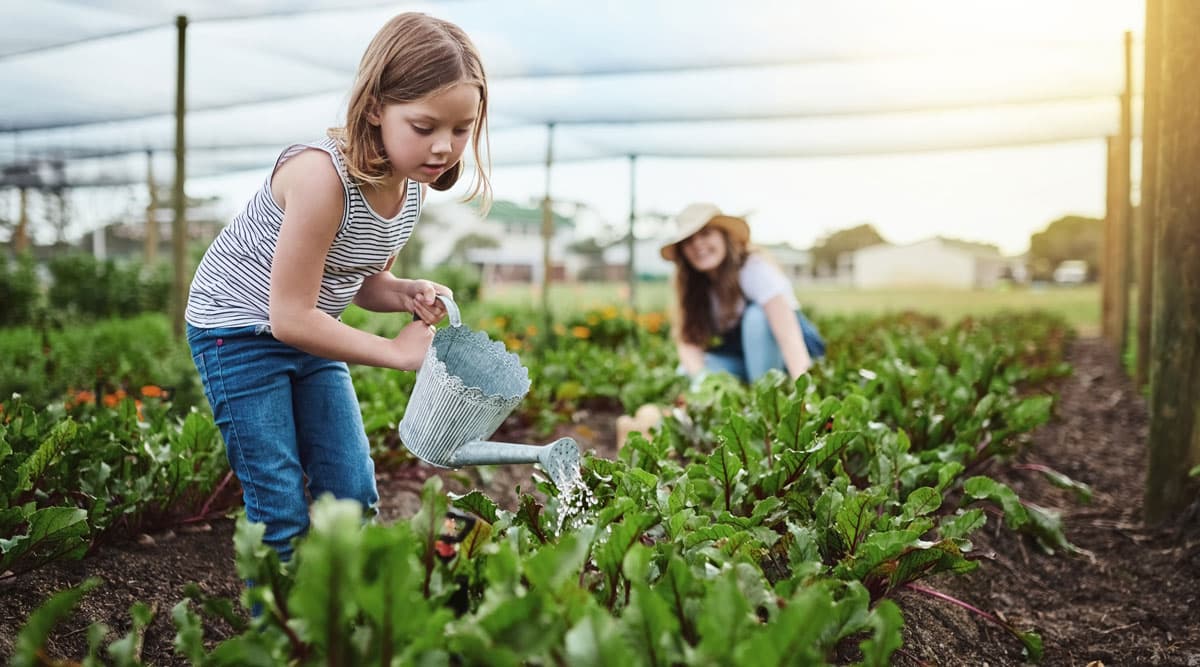 Food system