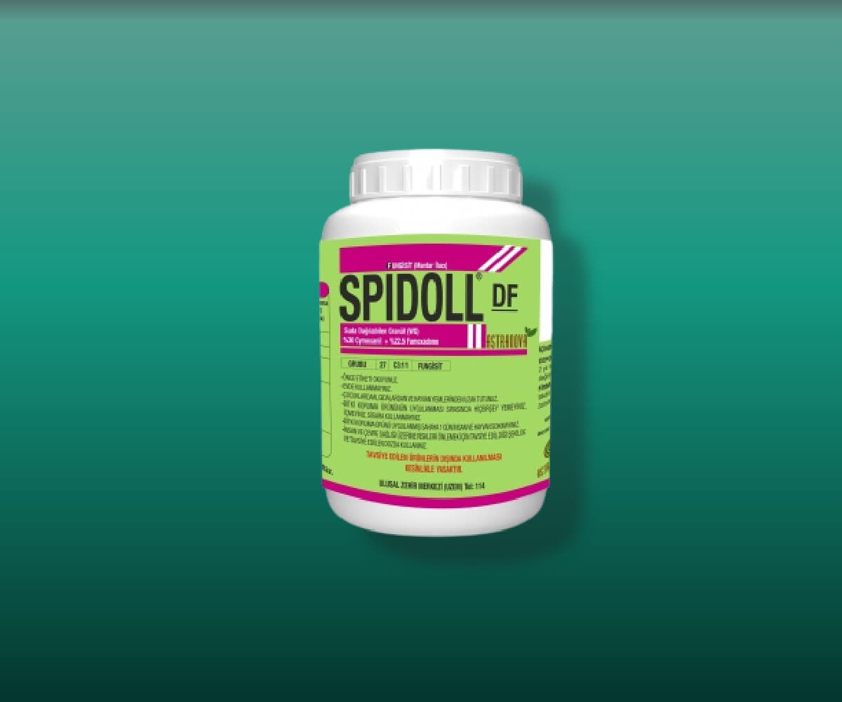 SPİDOLL DF - Astranova