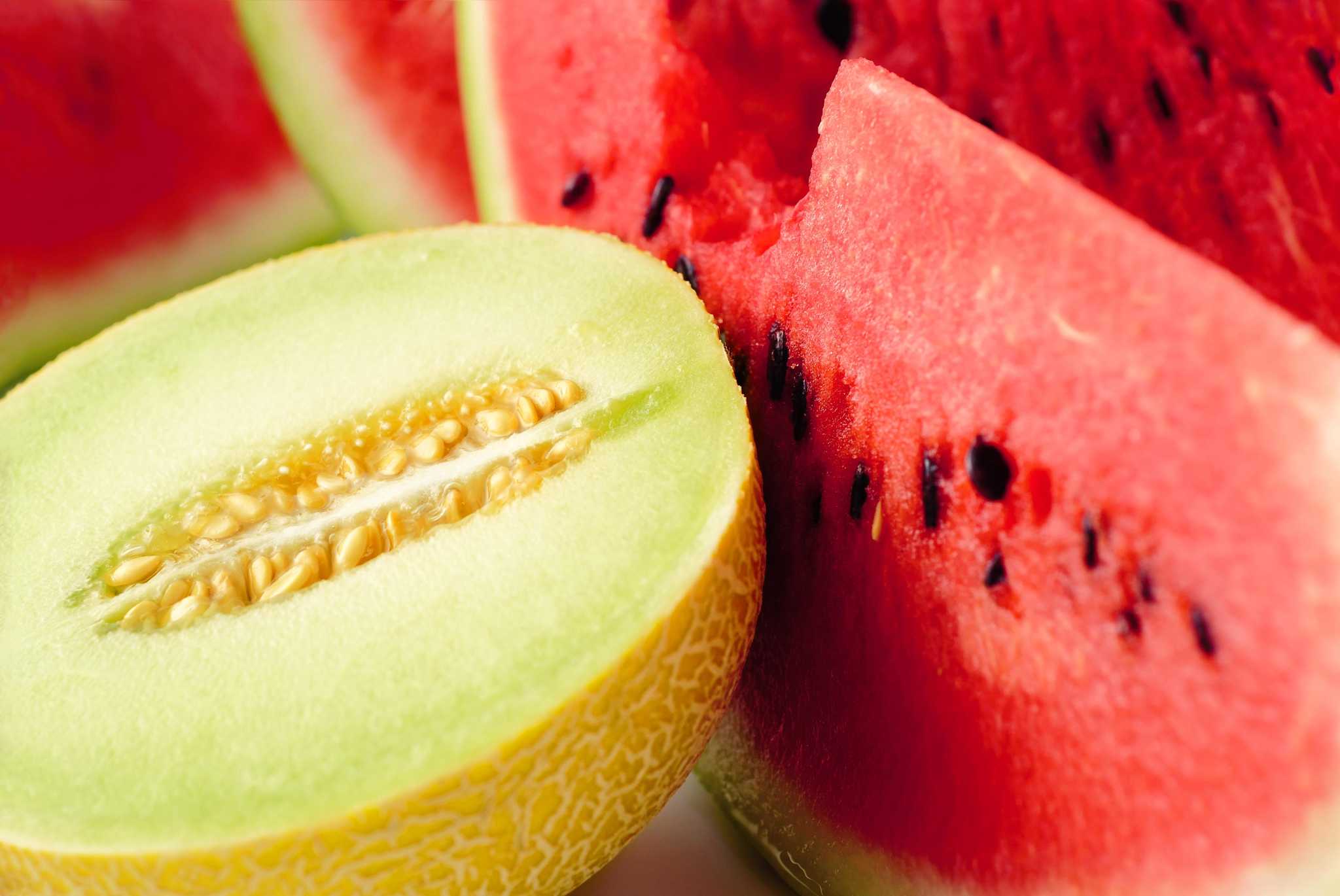 Melon and Watermelon