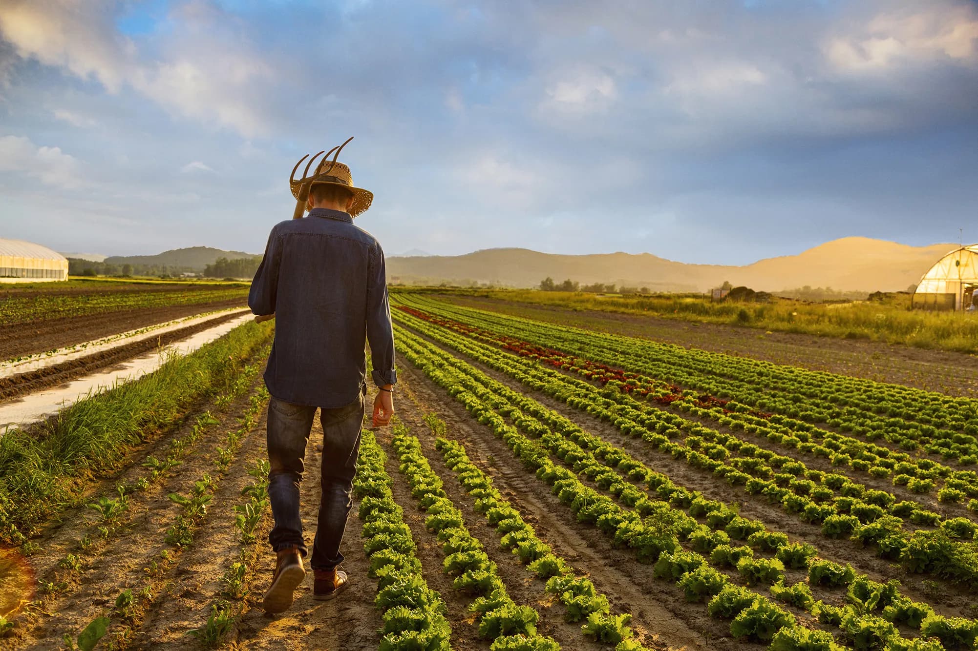Crop farmer