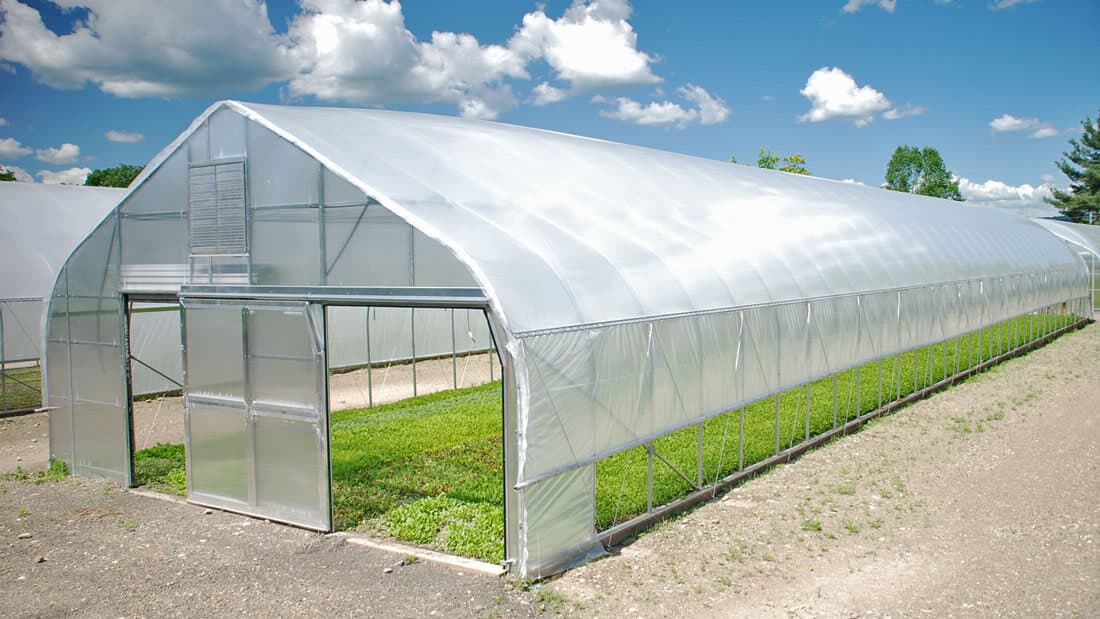 an individual commercial greenhouse with gothic design