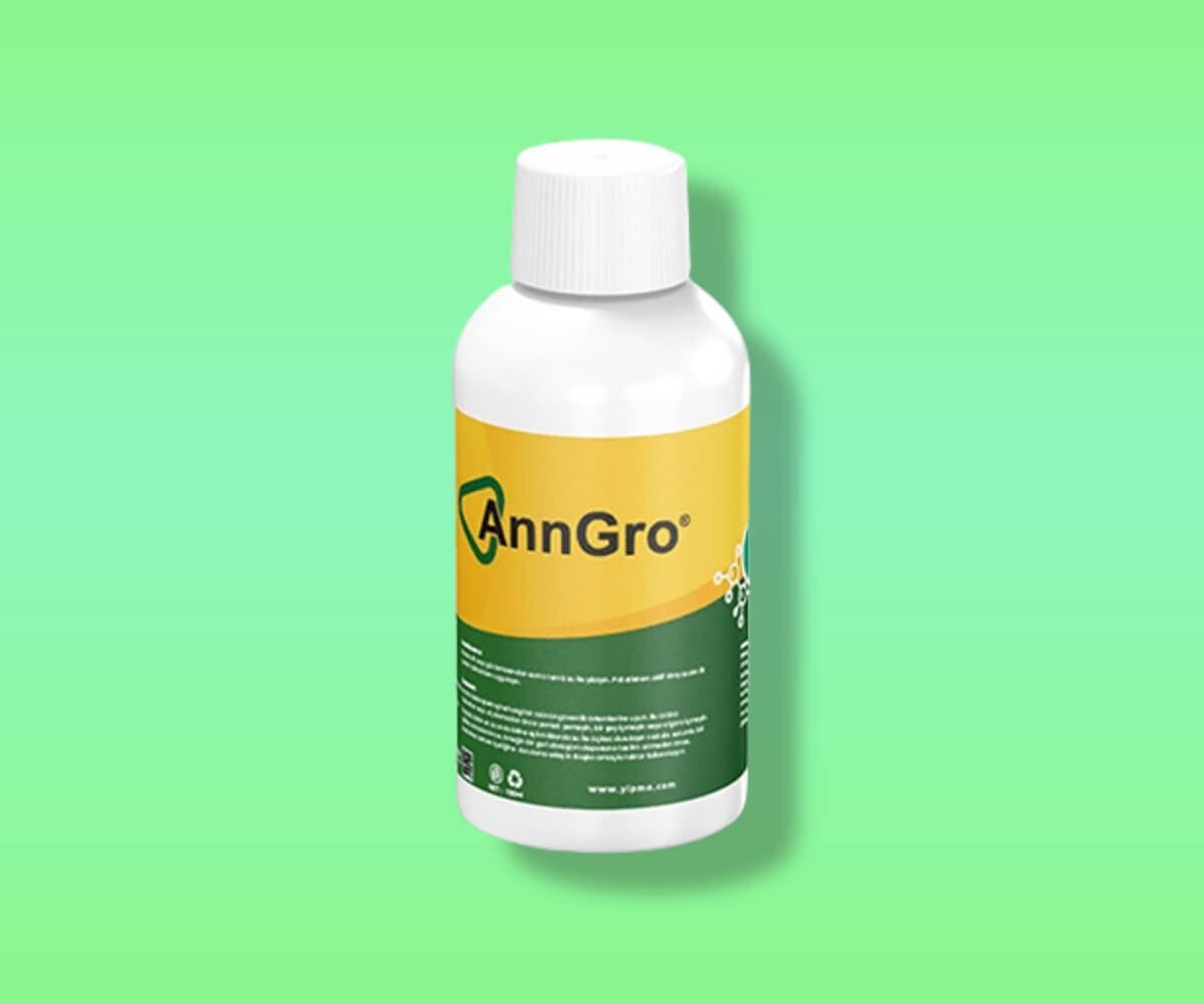 AnnGro - Yipmo