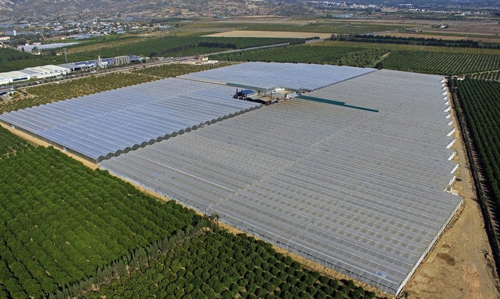 Sakarya Sera