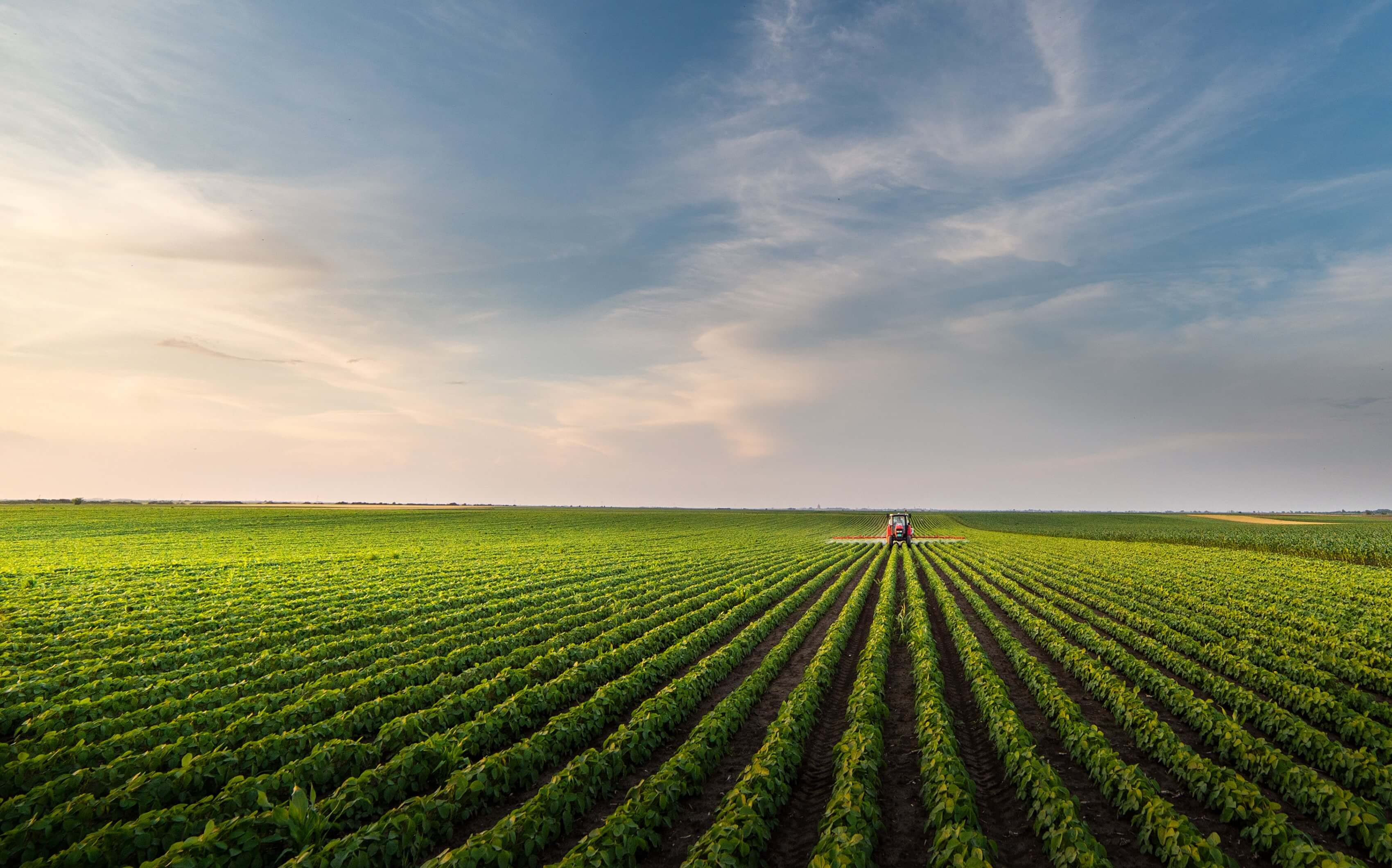 farmland