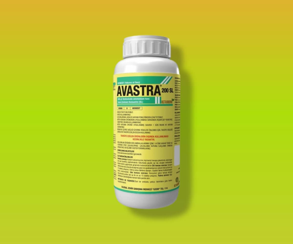 AVASTRA 200 SL - Astranova