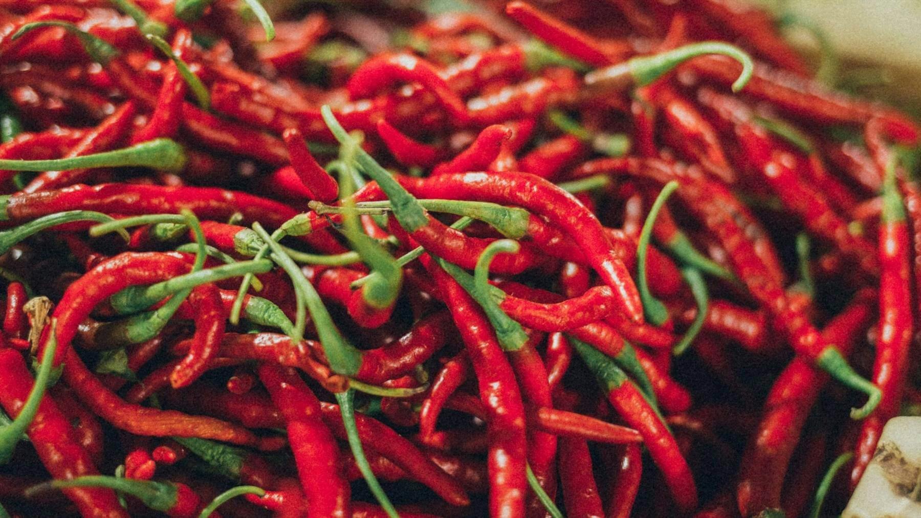 hot pepper