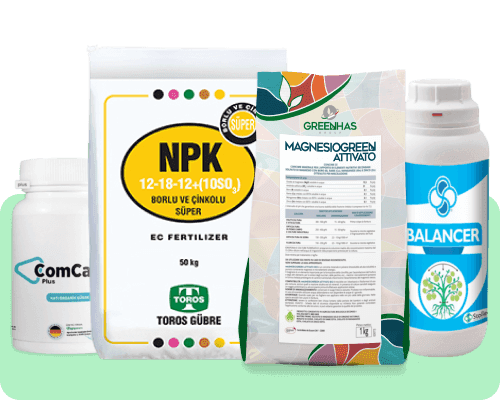 Plant Nutrition