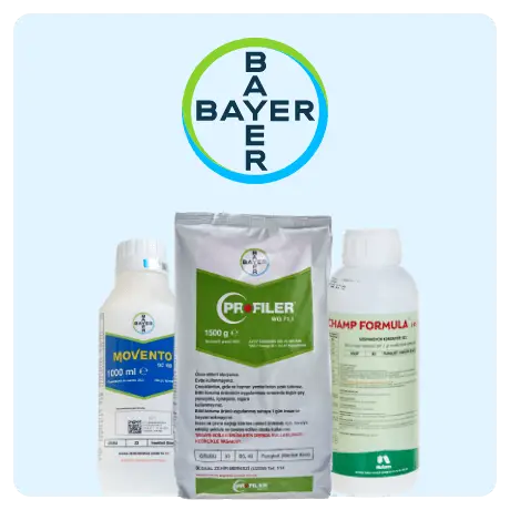 Bayer