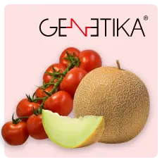 Genetika Tohum